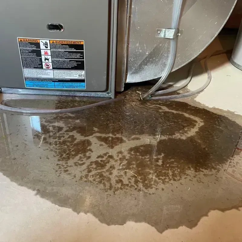 Appliance Leak Cleanup in Vonore, TN